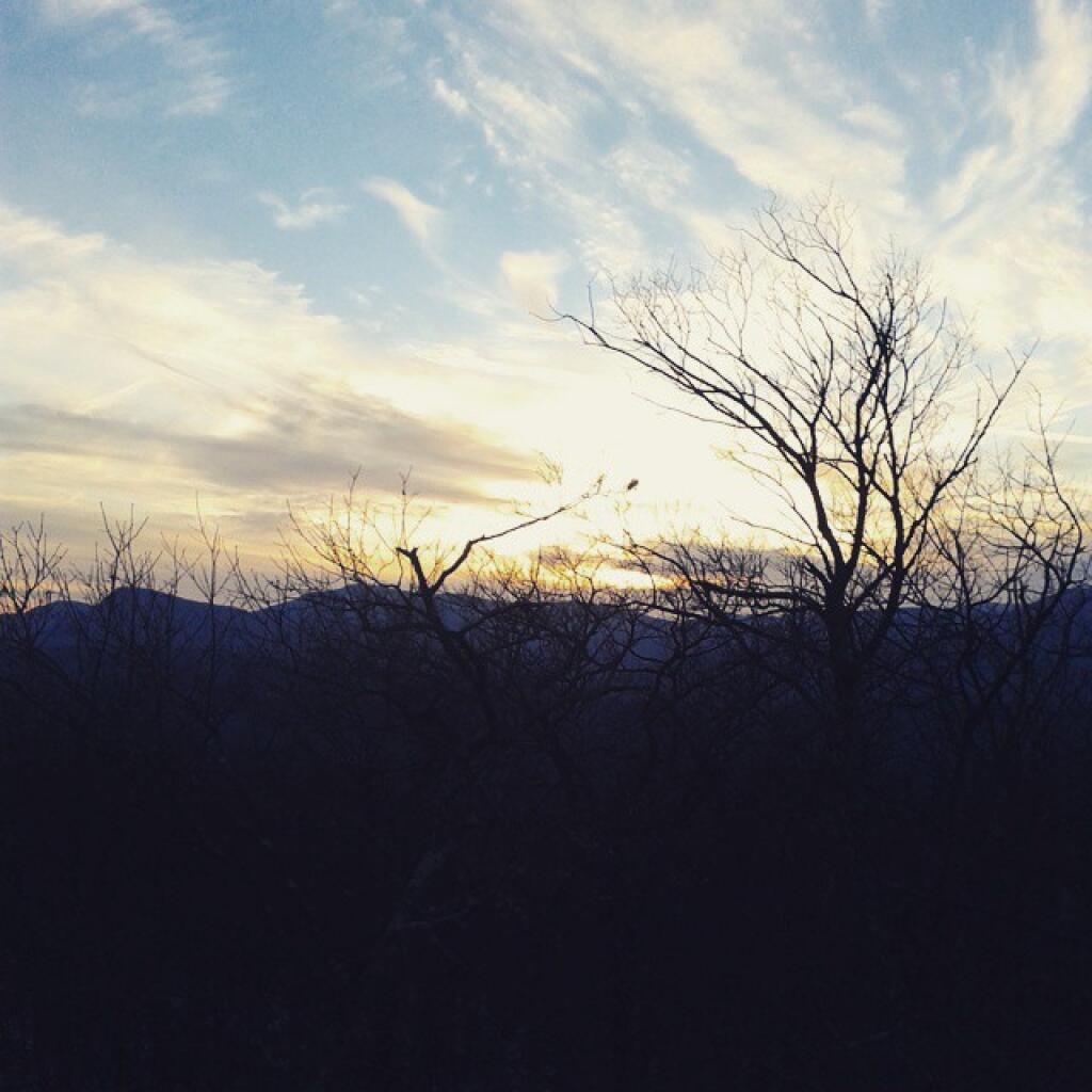 Photo: Evening color