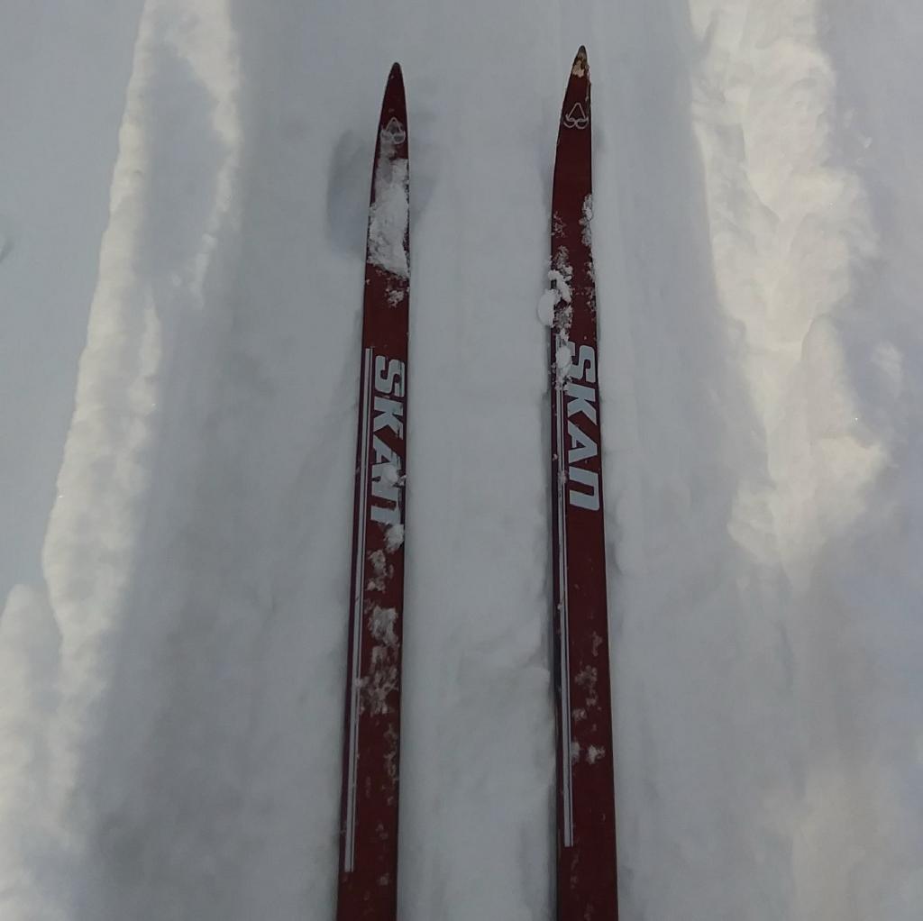 Photo: Skis 🎿