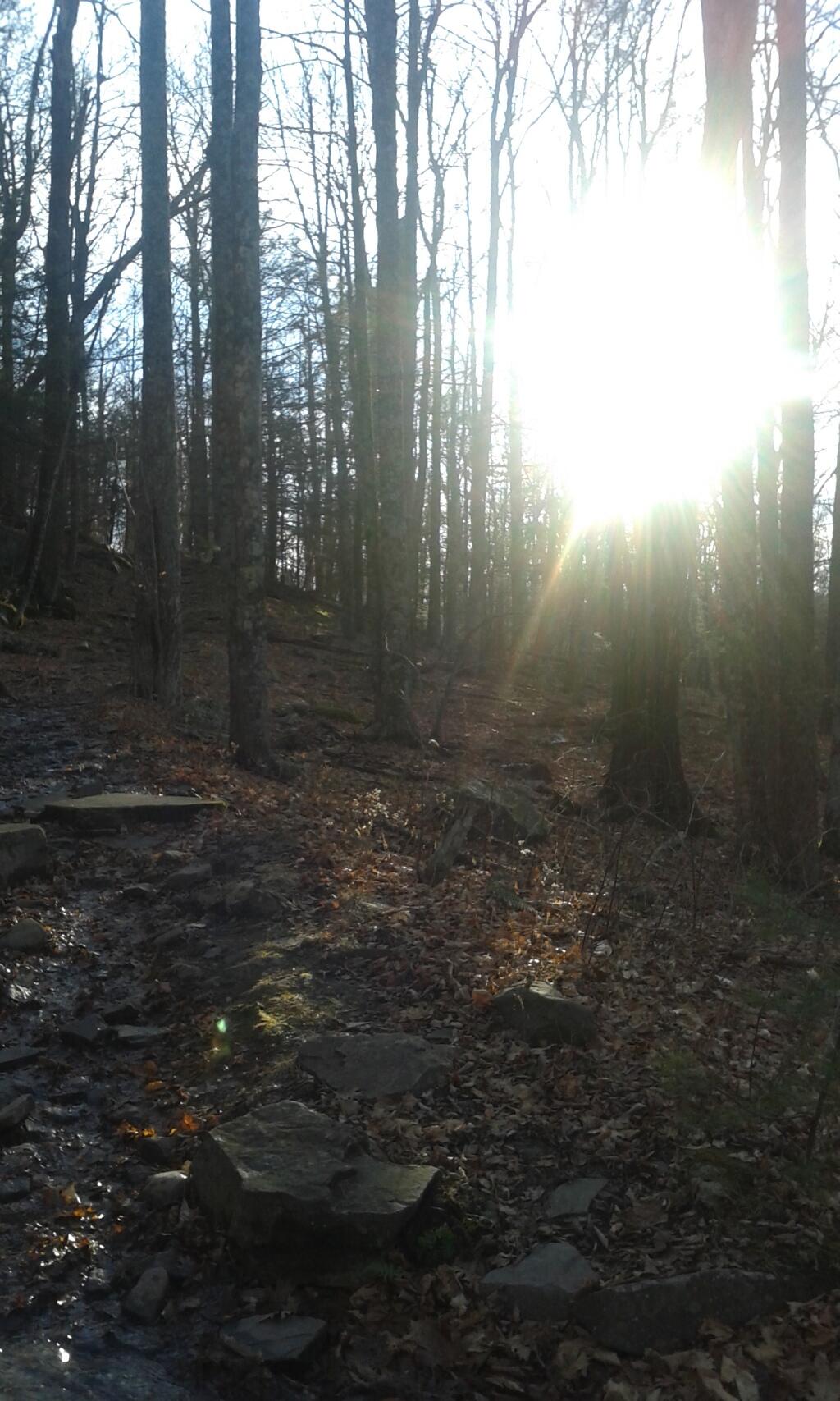 Photo: Low Hanging Sun Photo: Low Hanging Sun