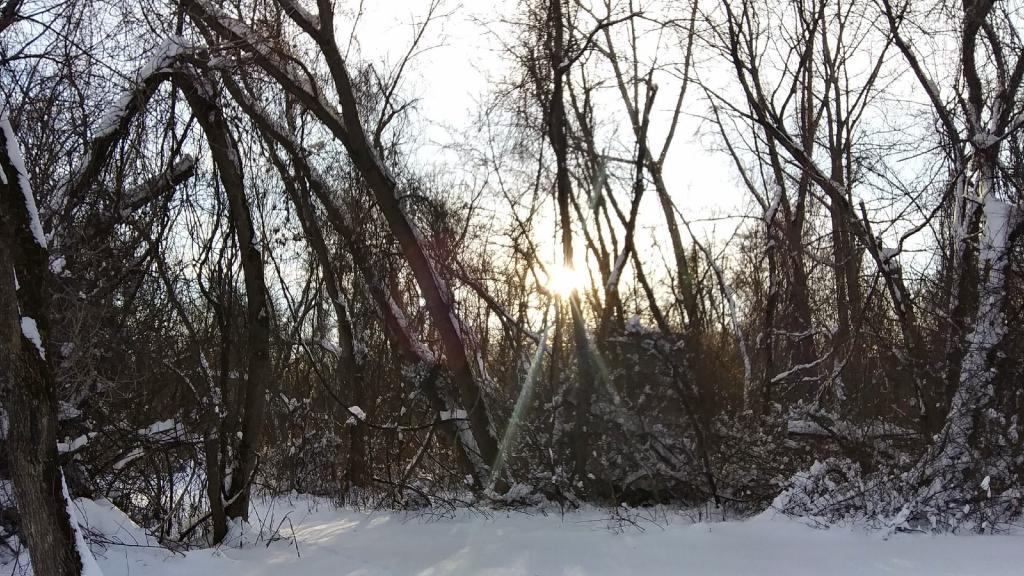 Photo: Low sun angle Photo: Low sun angle