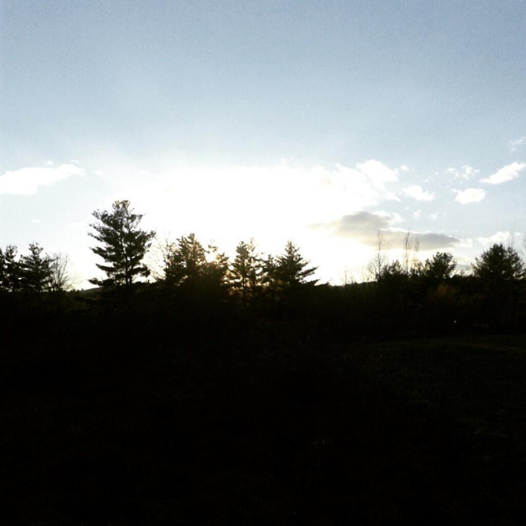 Photo: Last Afternoon of 2014 Photo: Last Afternoon of 2014