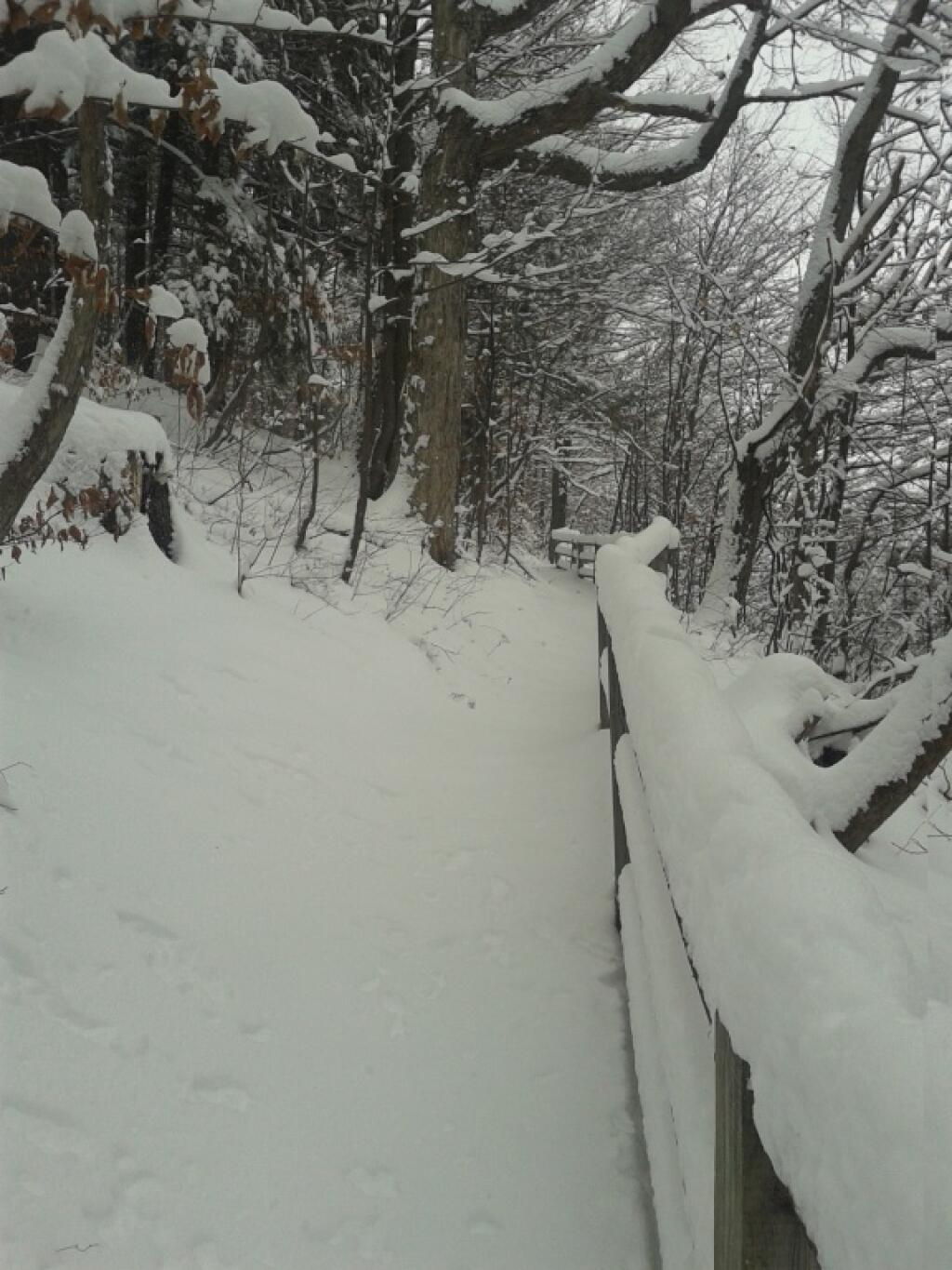 Photo: Deep Snow Along the Escarpment Photo: Deep Snow Along the Escarpment