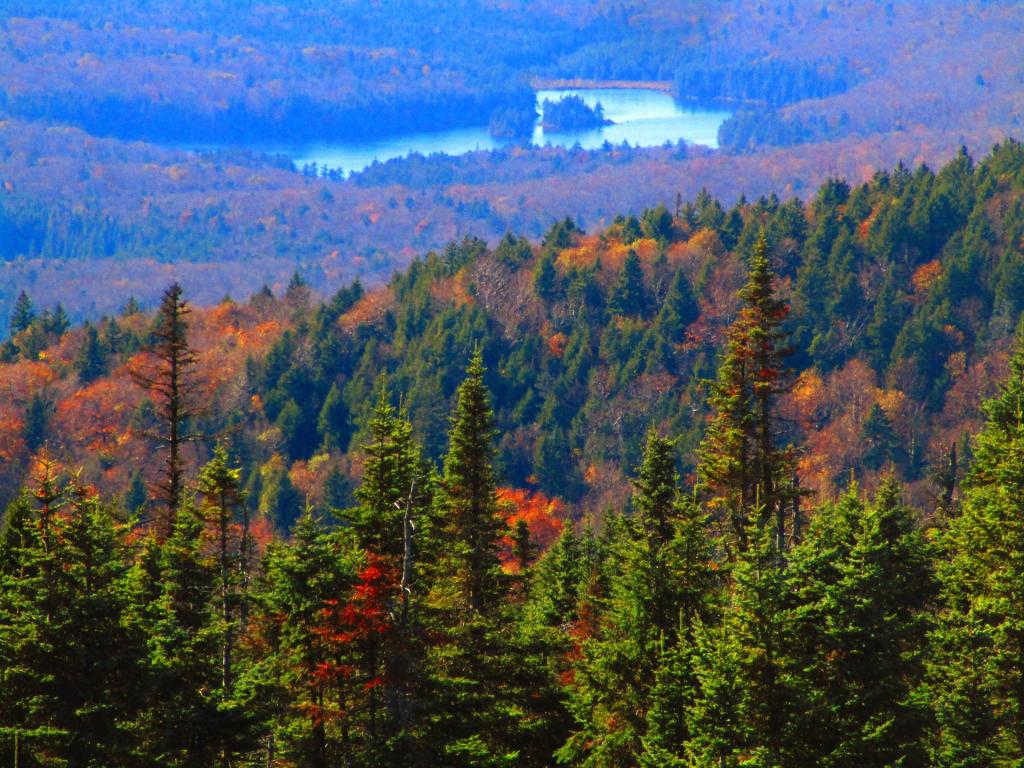 Photo: Downtown to Cedar Lakes