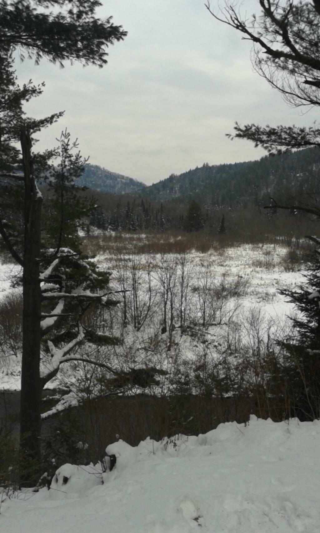 Photo: Snowy morning at Fox 🦊 Lair Campsite Photo: Snowy morning at Fox 🦊 Lair Campsite