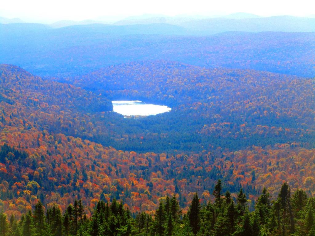 Photo: Little Moose Pond