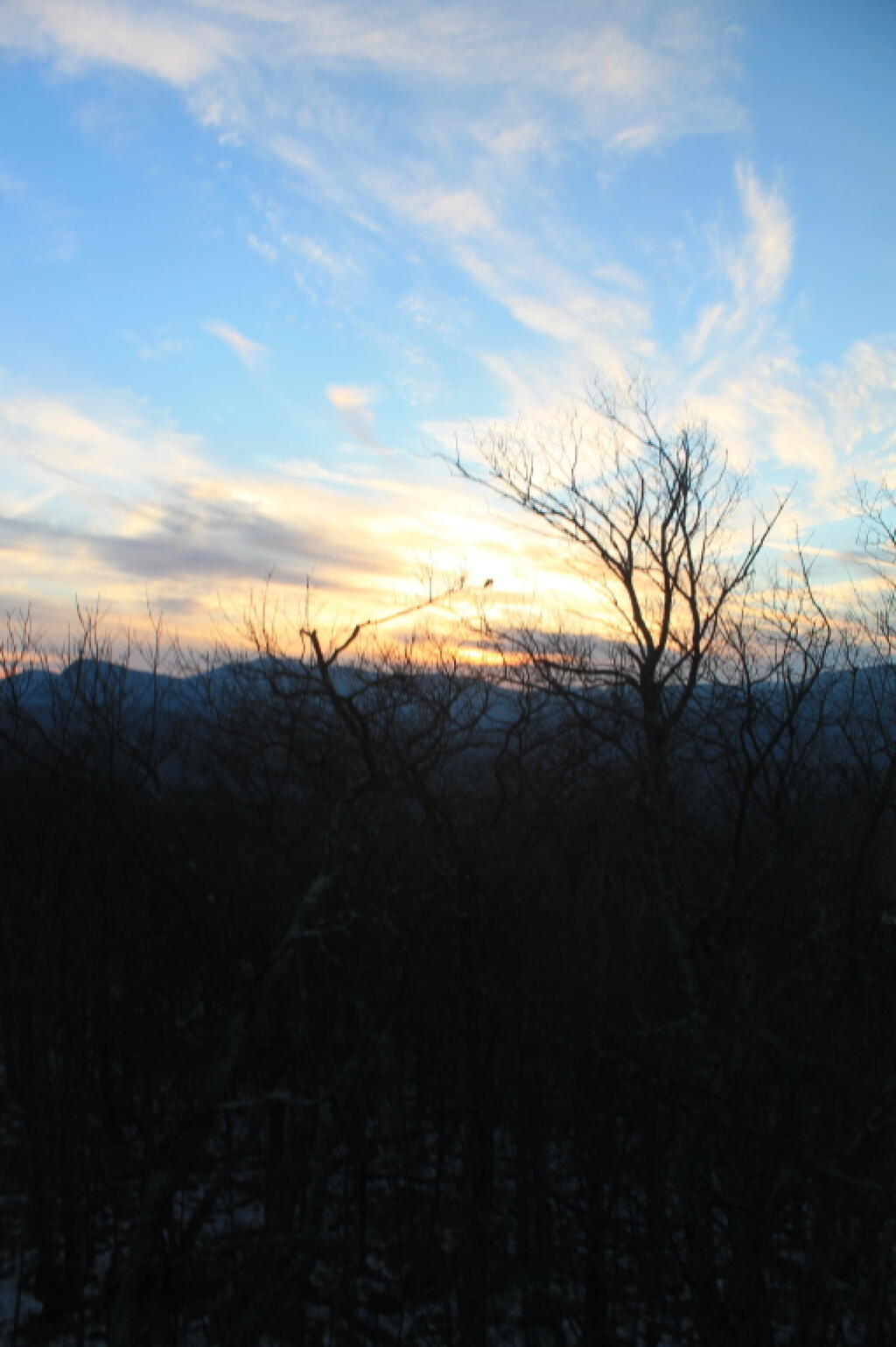 Photo: Colors of the Afternoon