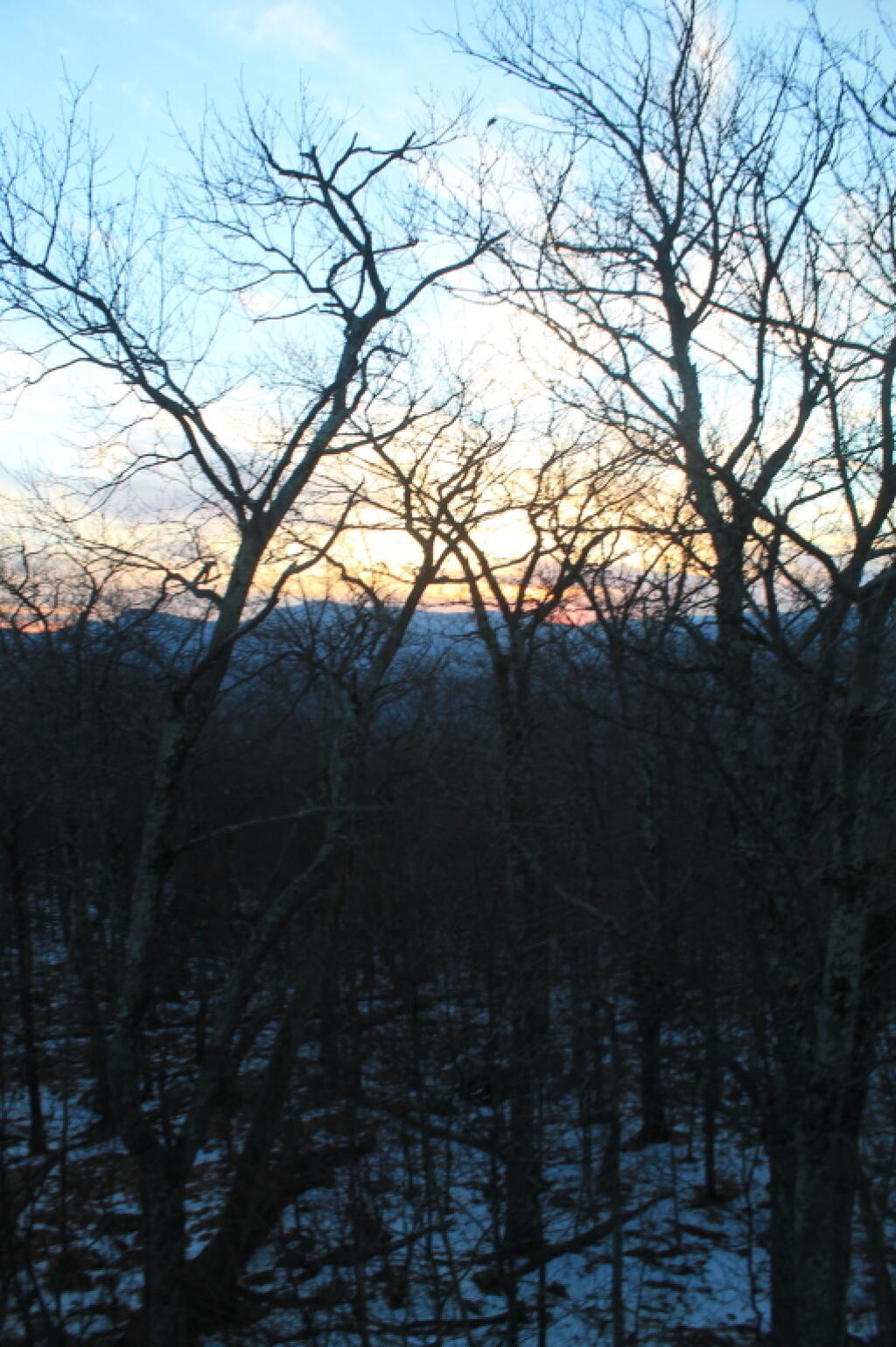 Photo: Almost Ground Level