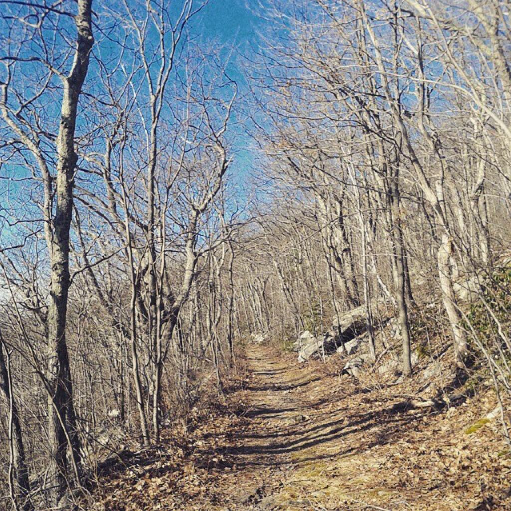 Photo: Old Woods Road