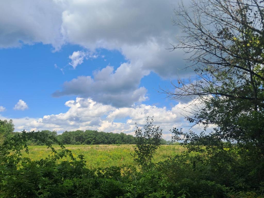 Photo: Before the Rain