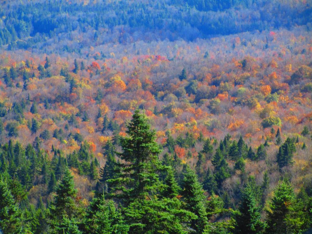 Photo: Remaining colors Photo: Remaining colors
