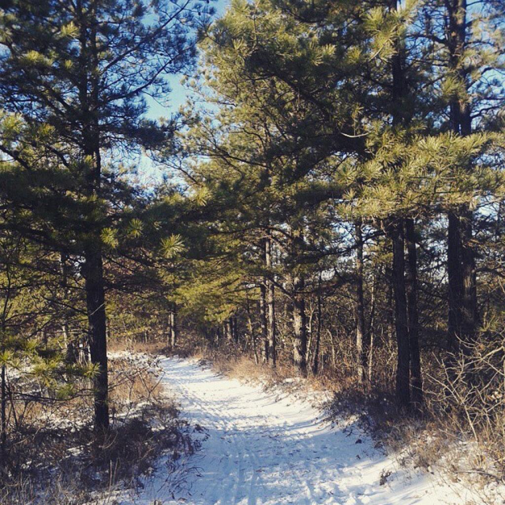 Photo: Overlook Trail Photo: Overlook Trail