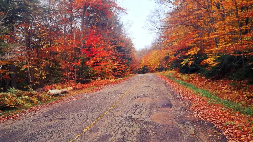 Photo: New York Route 421