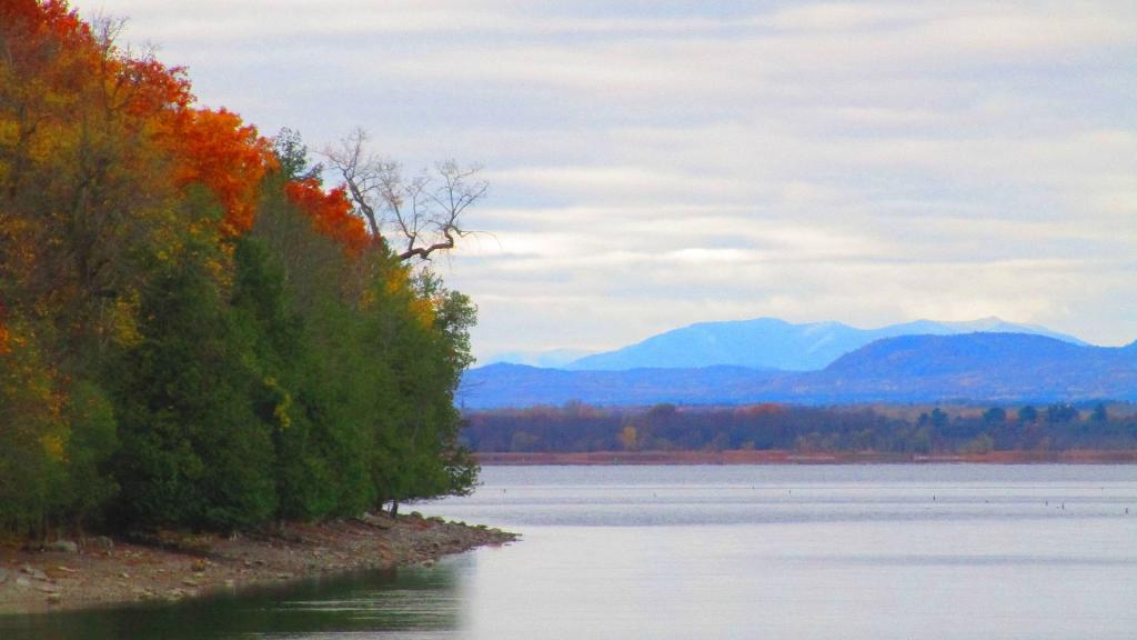 Photo: Along the Lake