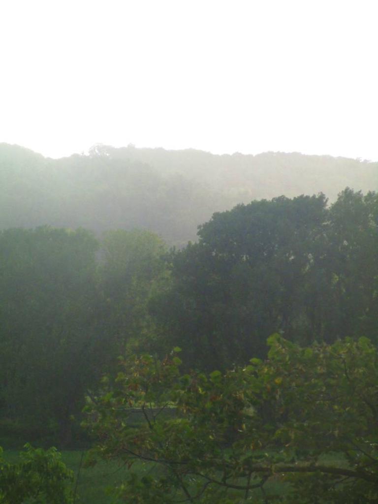 Photo: Rain showers Photo: Rain showers