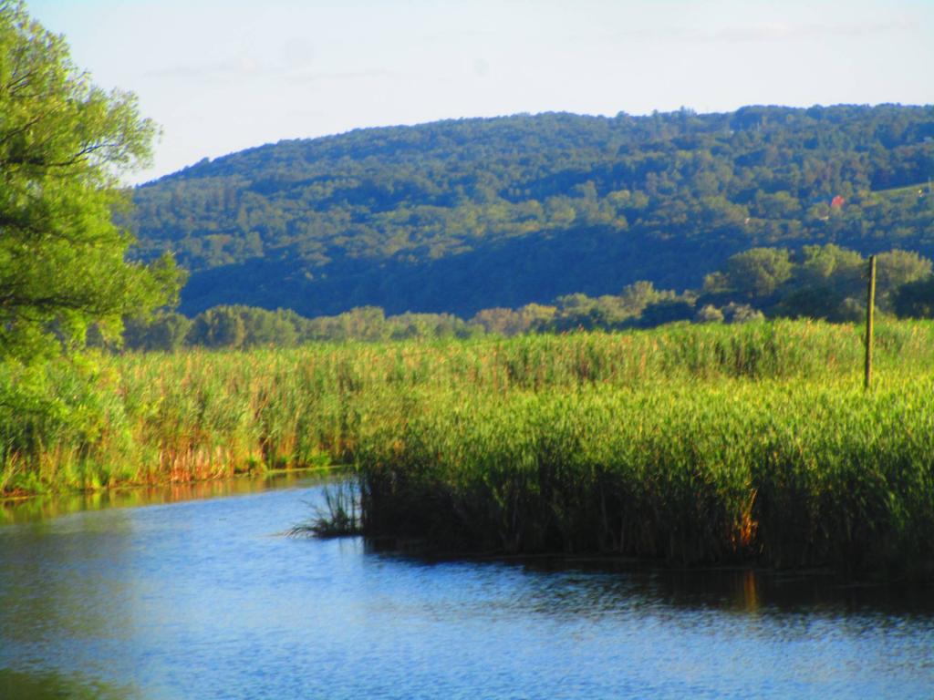 Photo: Catharine Creek Photo: Catharine Creek