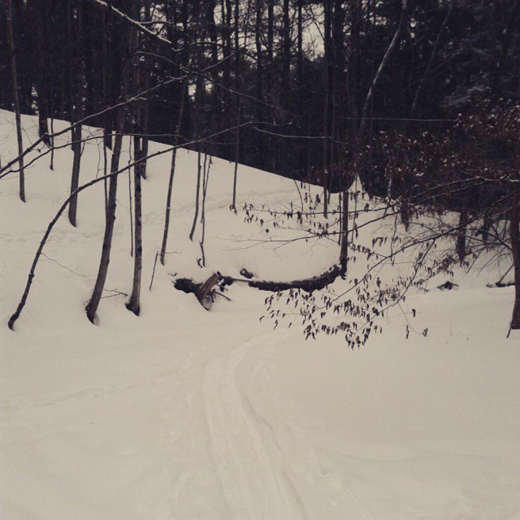 Photo: This is the first winter I have ever been able to ski down the Vlomans Kill