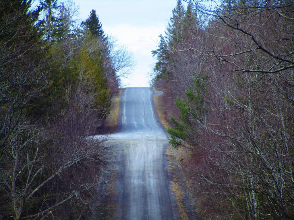 Photo: High Point Road in Mud Season Photo: High Point Road in Mud Season