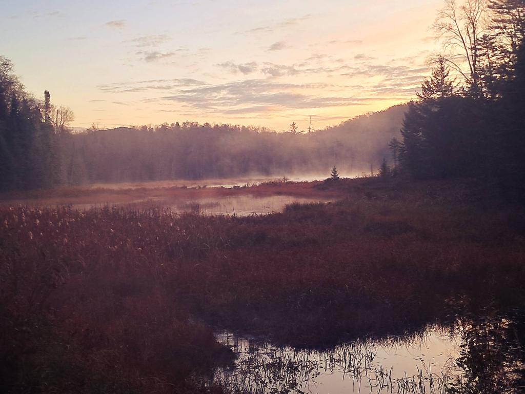 Photo: Misty Morning