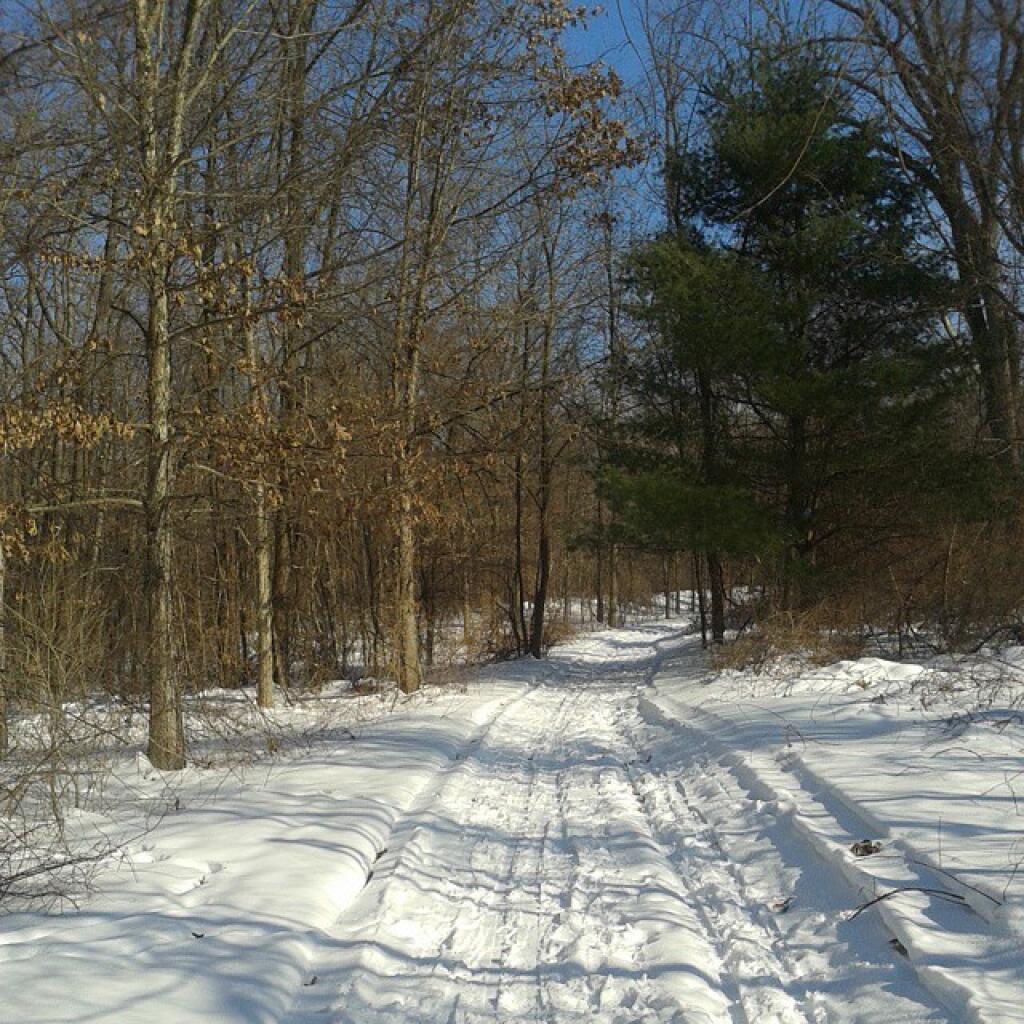 Photo: Cross Over Trail Photo: Cross Over Trail