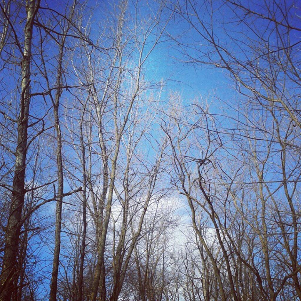 Photo: Blue Skies Photo: Blue Skies