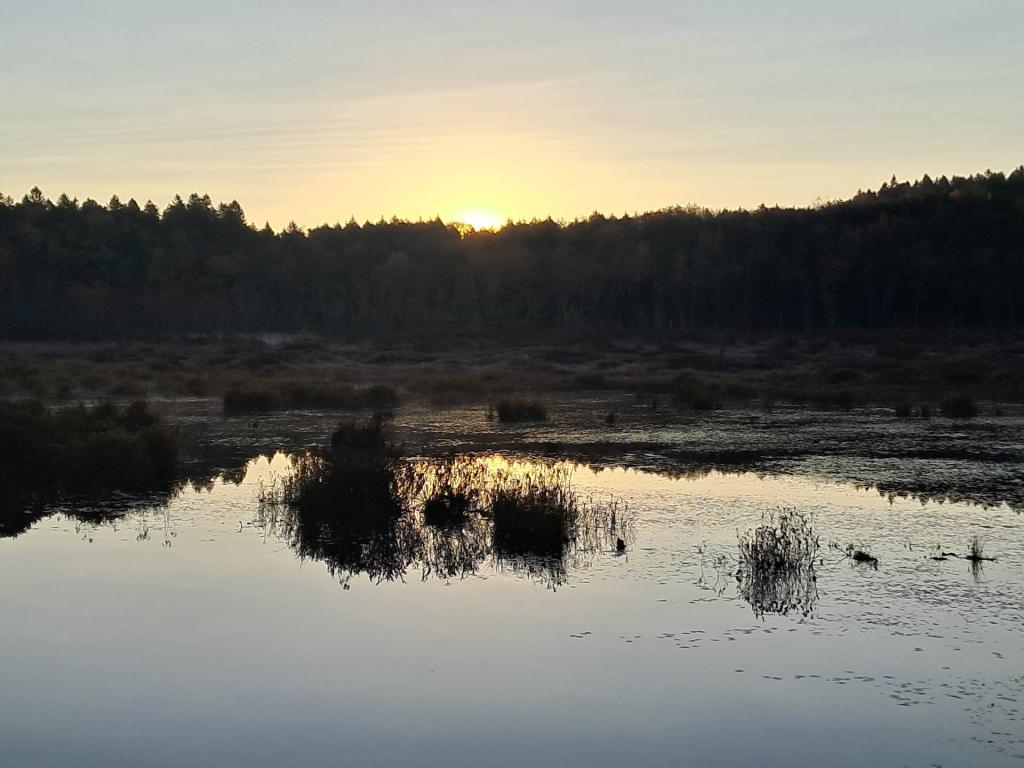 Photo: Morning at Lost Pond Photo: Morning at Lost Pond