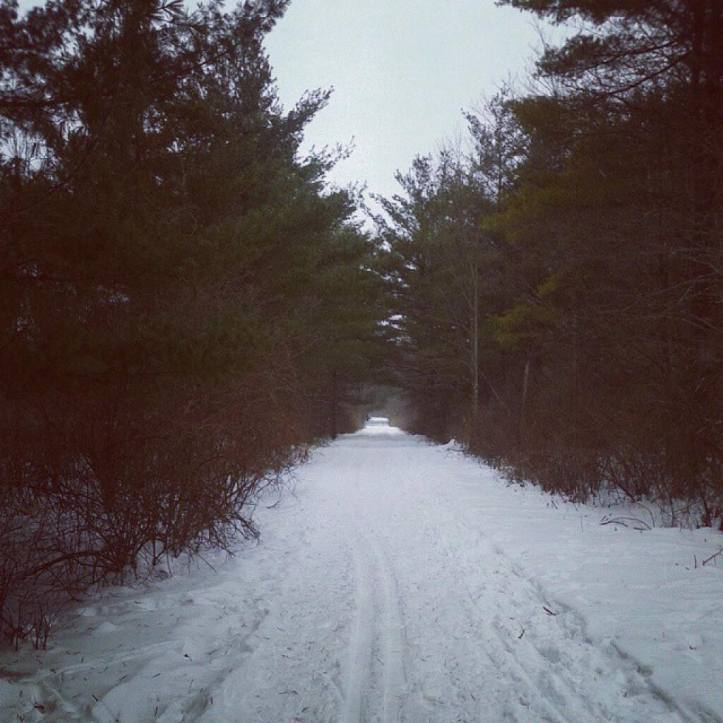 Photo: No crowds today