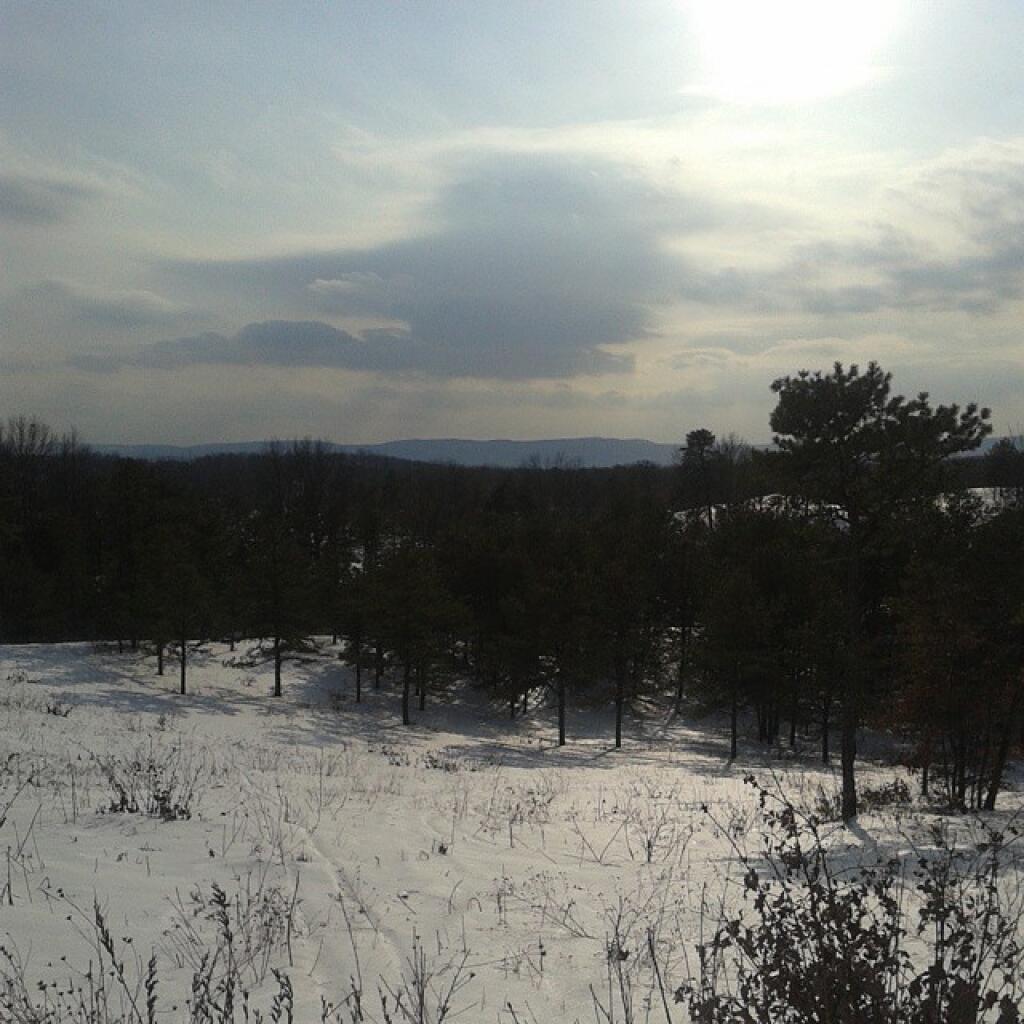 Photo: From Overlook Dune Photo: From Overlook Dune