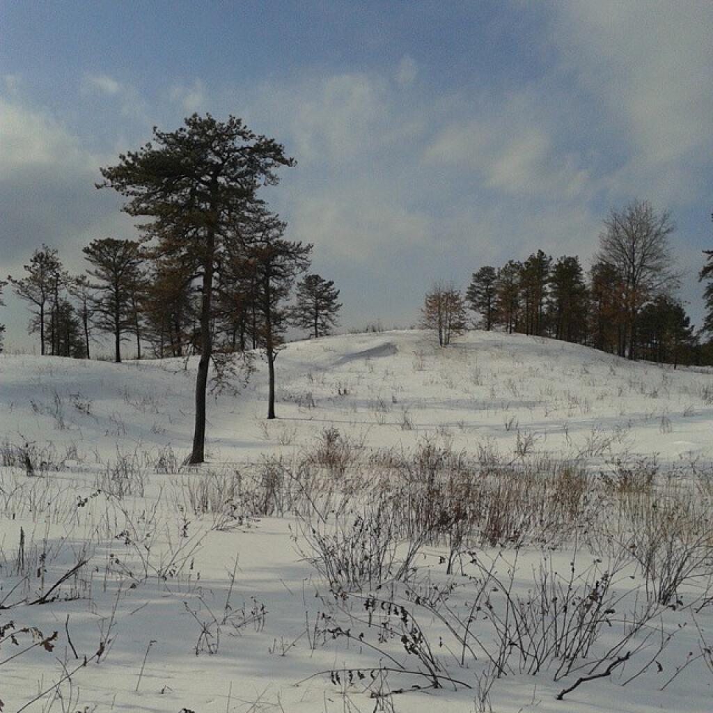 Photo: Snow covered dunws