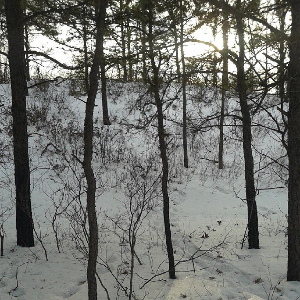 Photo: Undisclosed location looking for sheds probably not going to find in deep snow Photo: Undisclosed location looking for sheds probably not going to find in deep snow