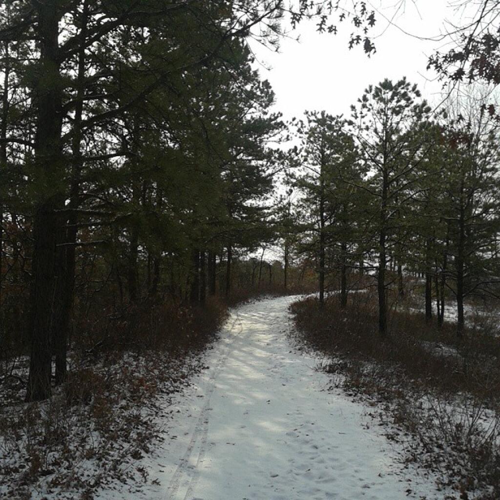 Photo: Trail