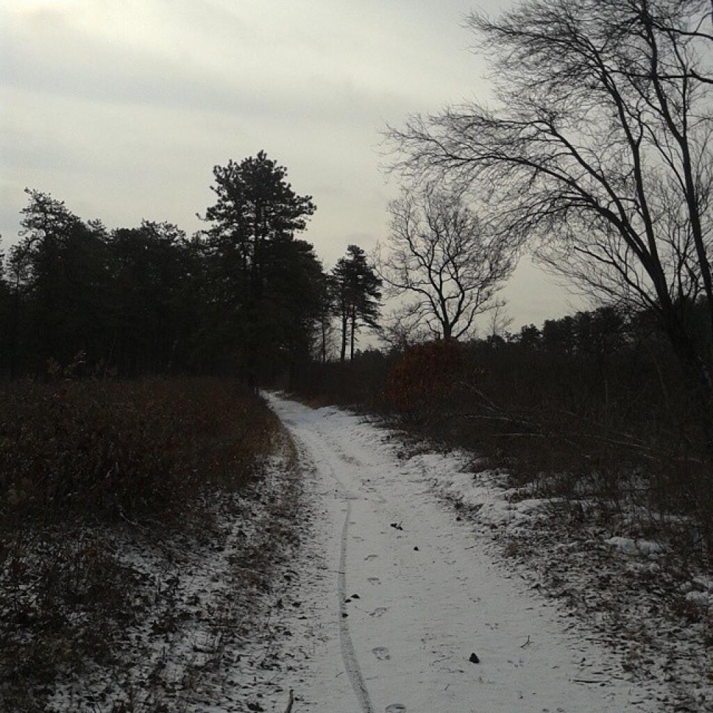 Photo: Trail along Thruway