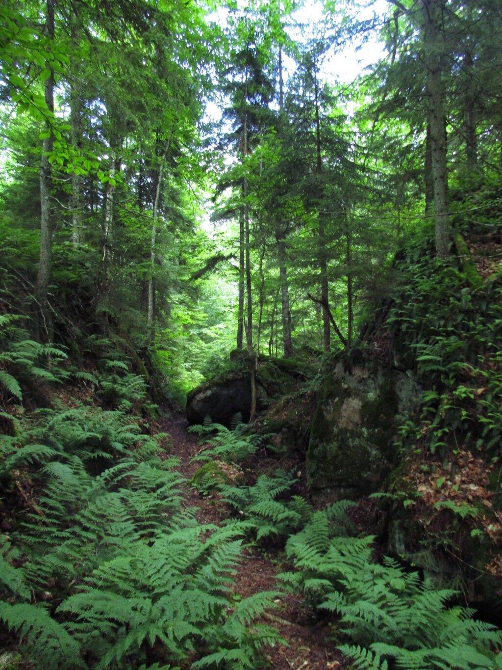 Photo: Narrow Notch Through The Mountains