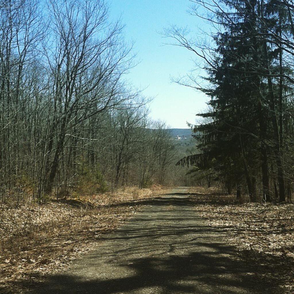 Photo: Gifford Hollow