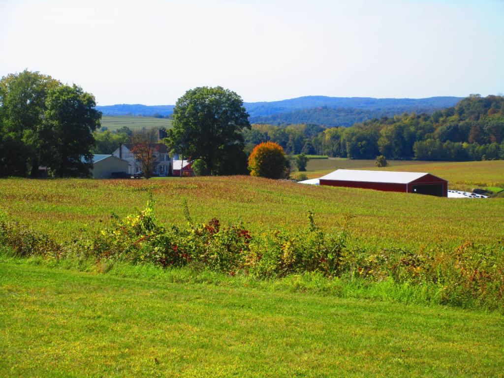 Photo: Corn fields and Hills of the Taconics