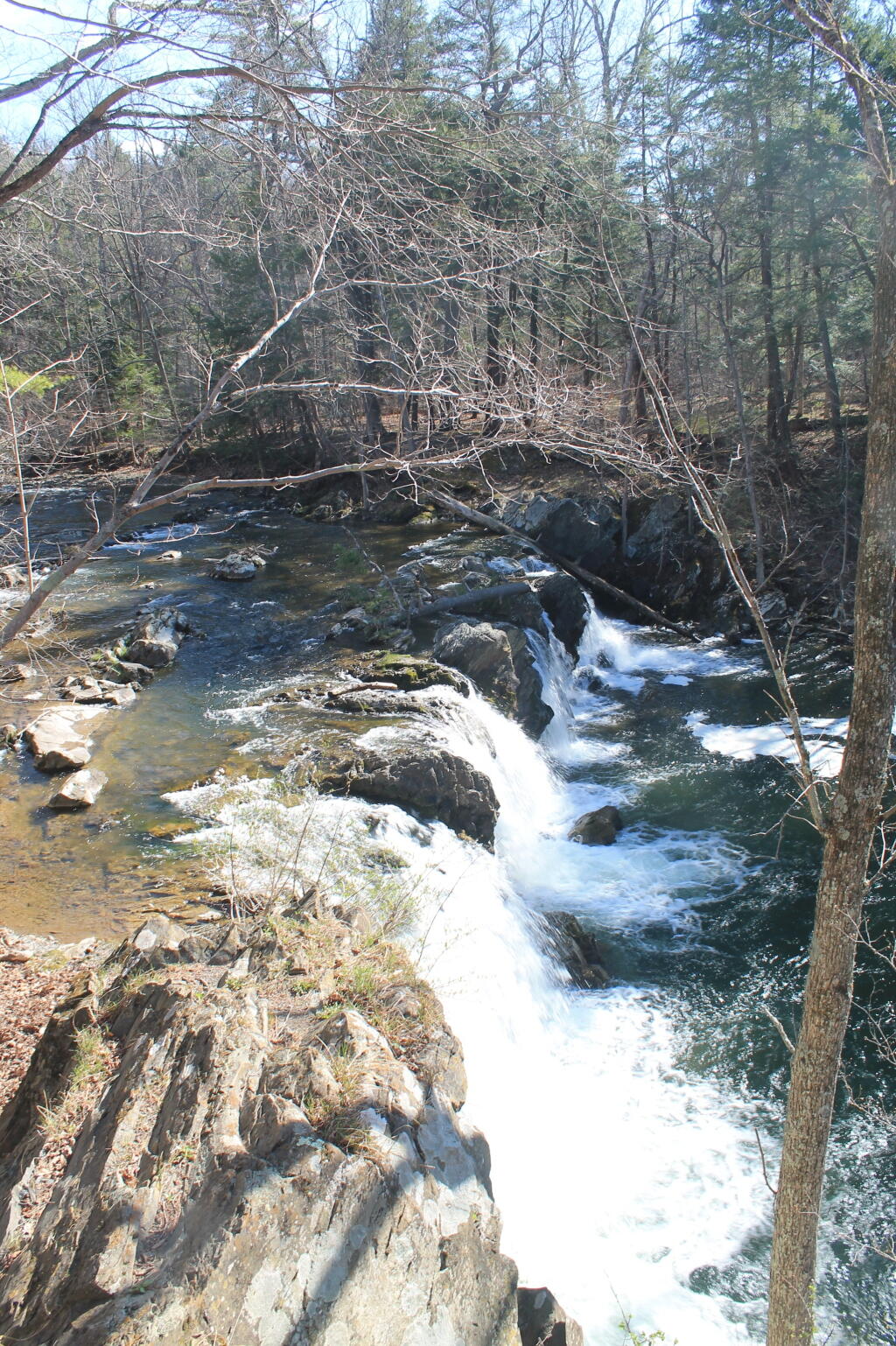 Photo:  The Falls