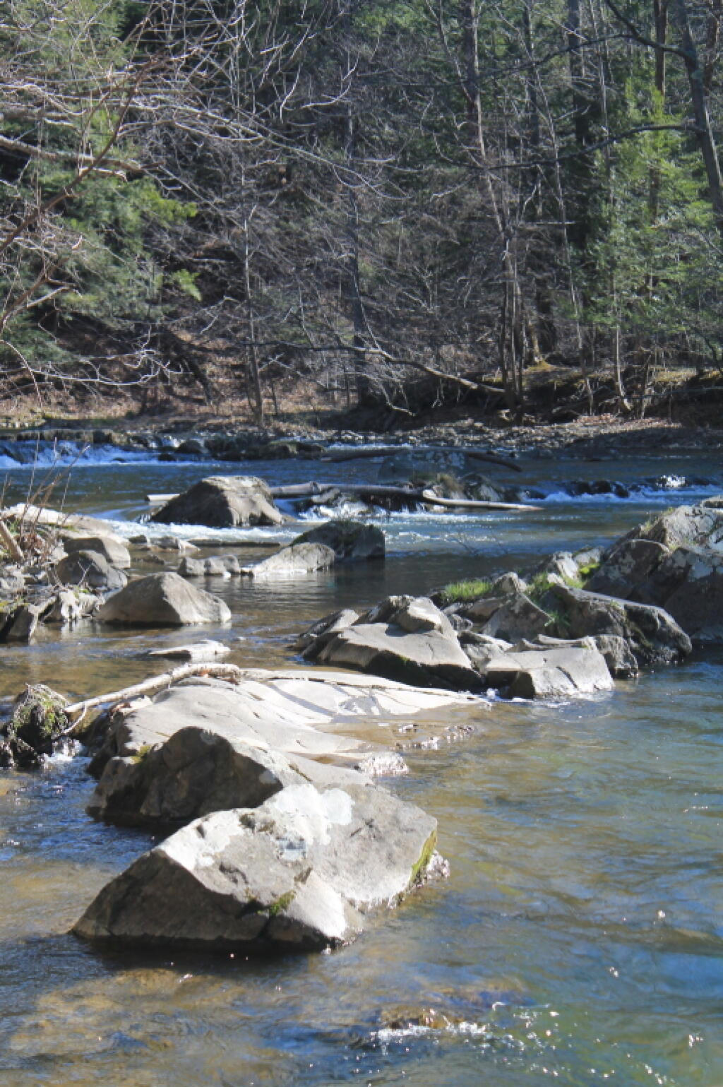 Photo: Low Hannacroix Creek