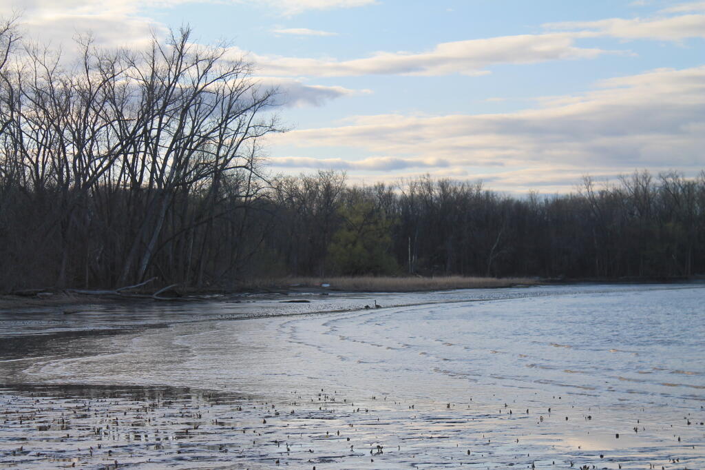 Photo: Very Low Tide on Hudson River