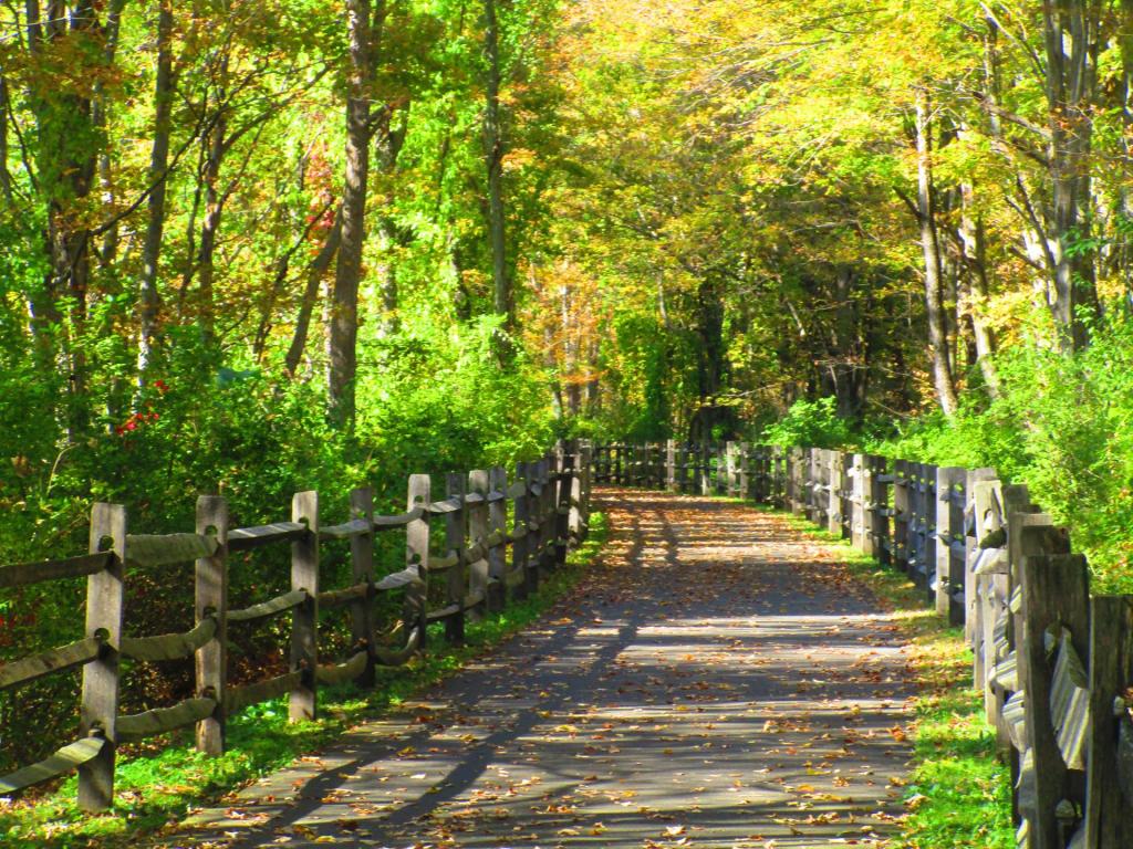 Photo: Trail