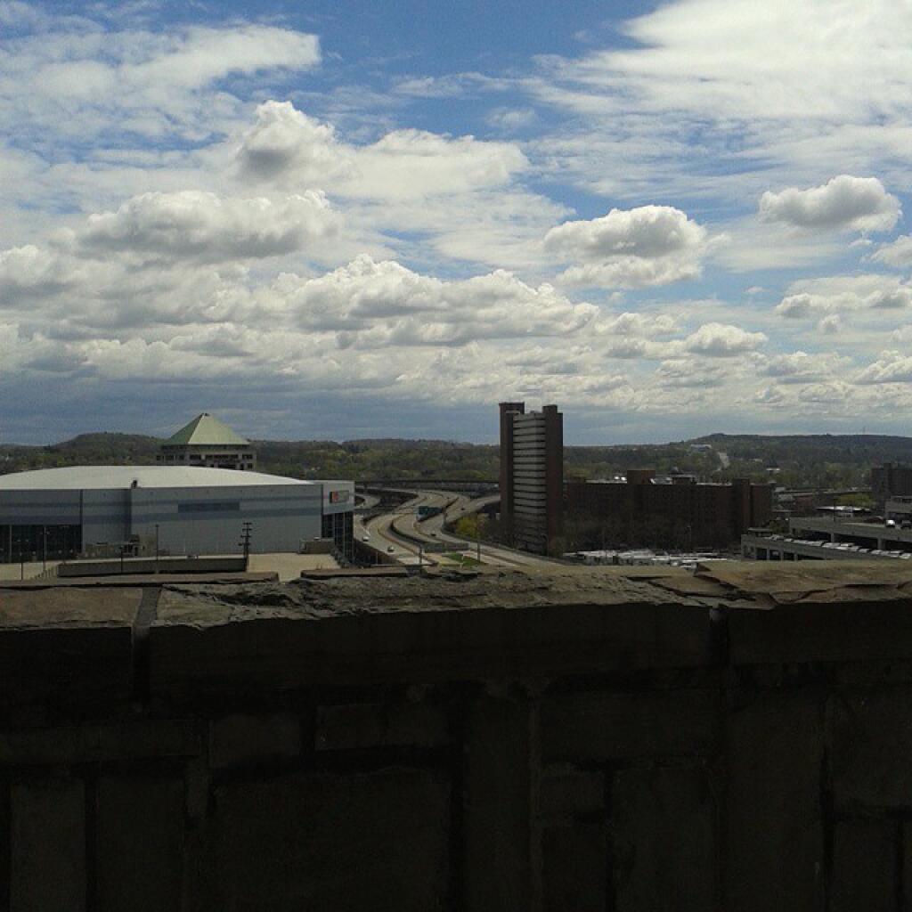 Photo: Starting to green up in the city