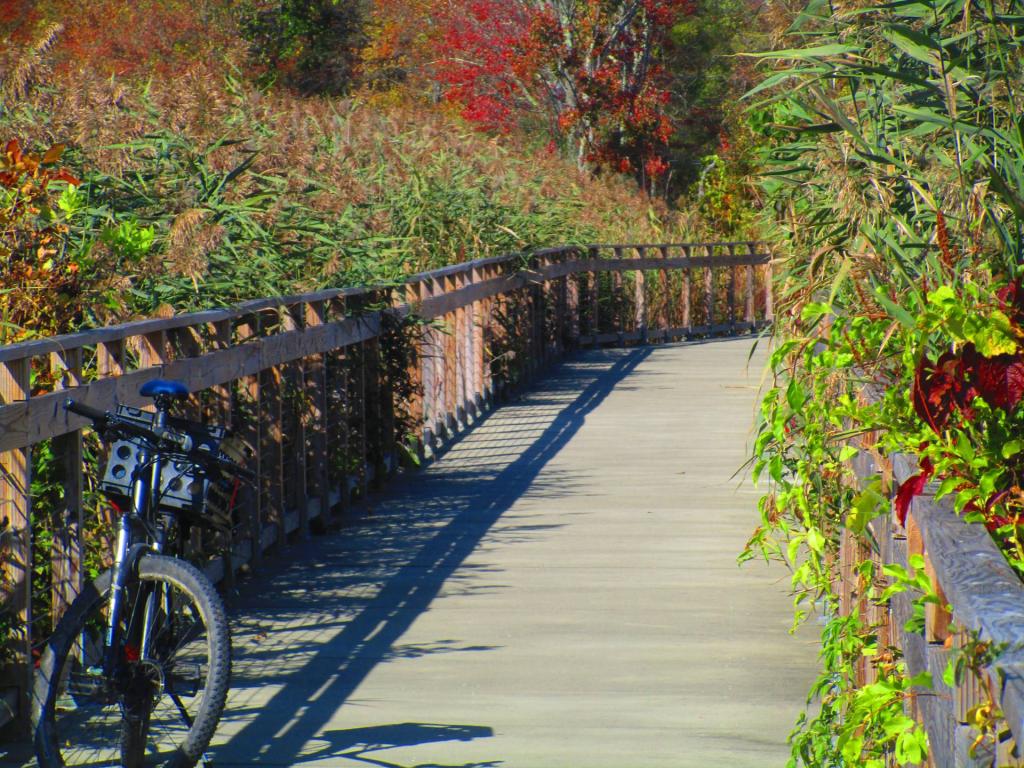 Photo: Where I discovered the broken spoke on my bike
