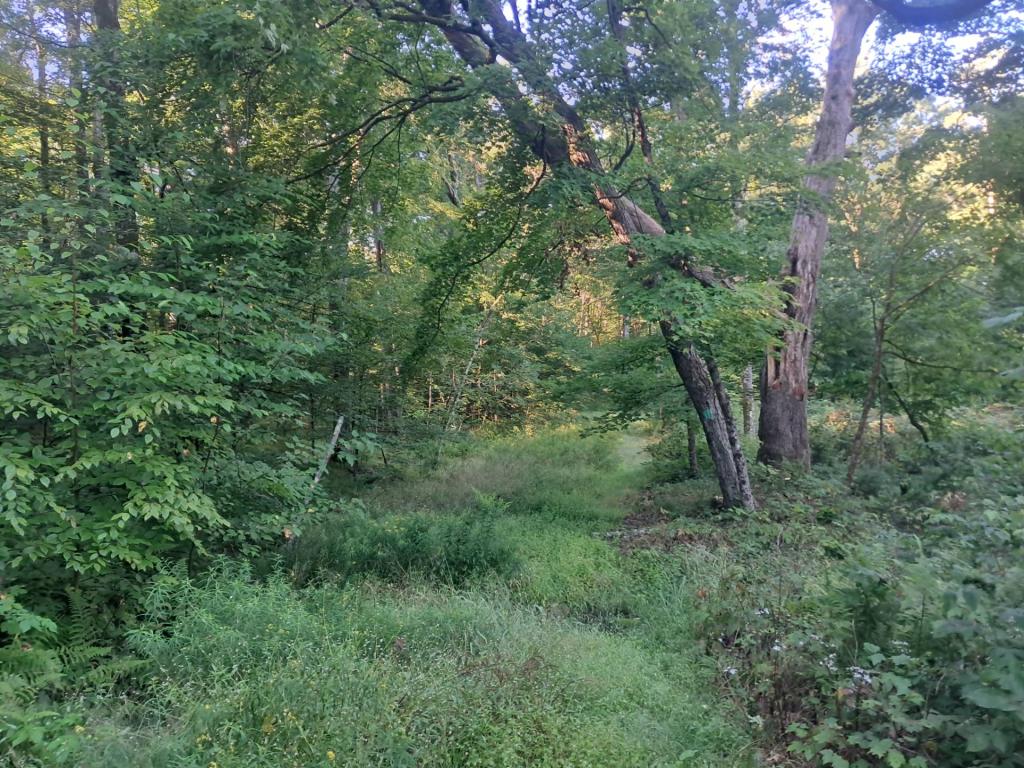 Photo: Long Path Photo: Long Path