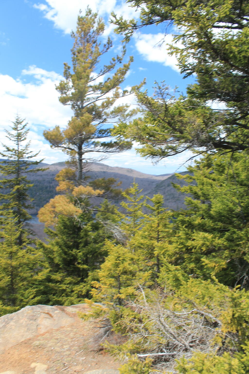 Photo: From the Summit Photo: From the Summit