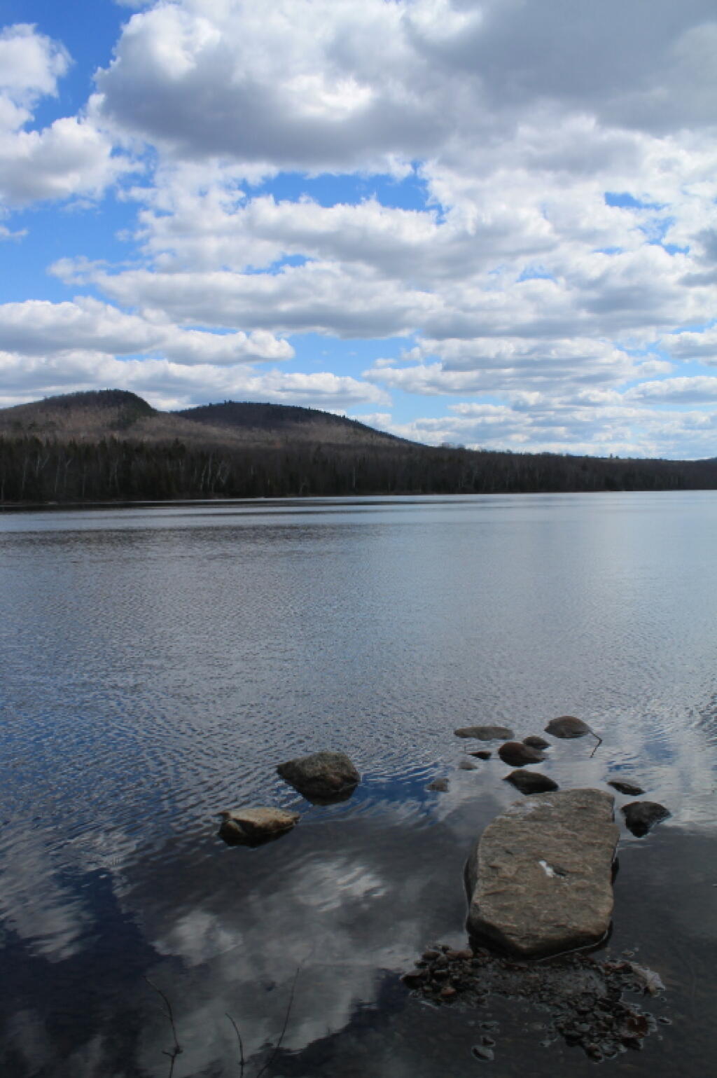 Photo: Lake Shore