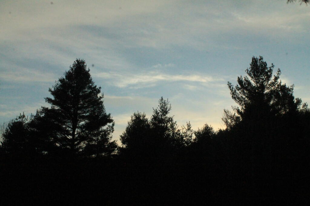 Photo: Dusk Photo: Dusk