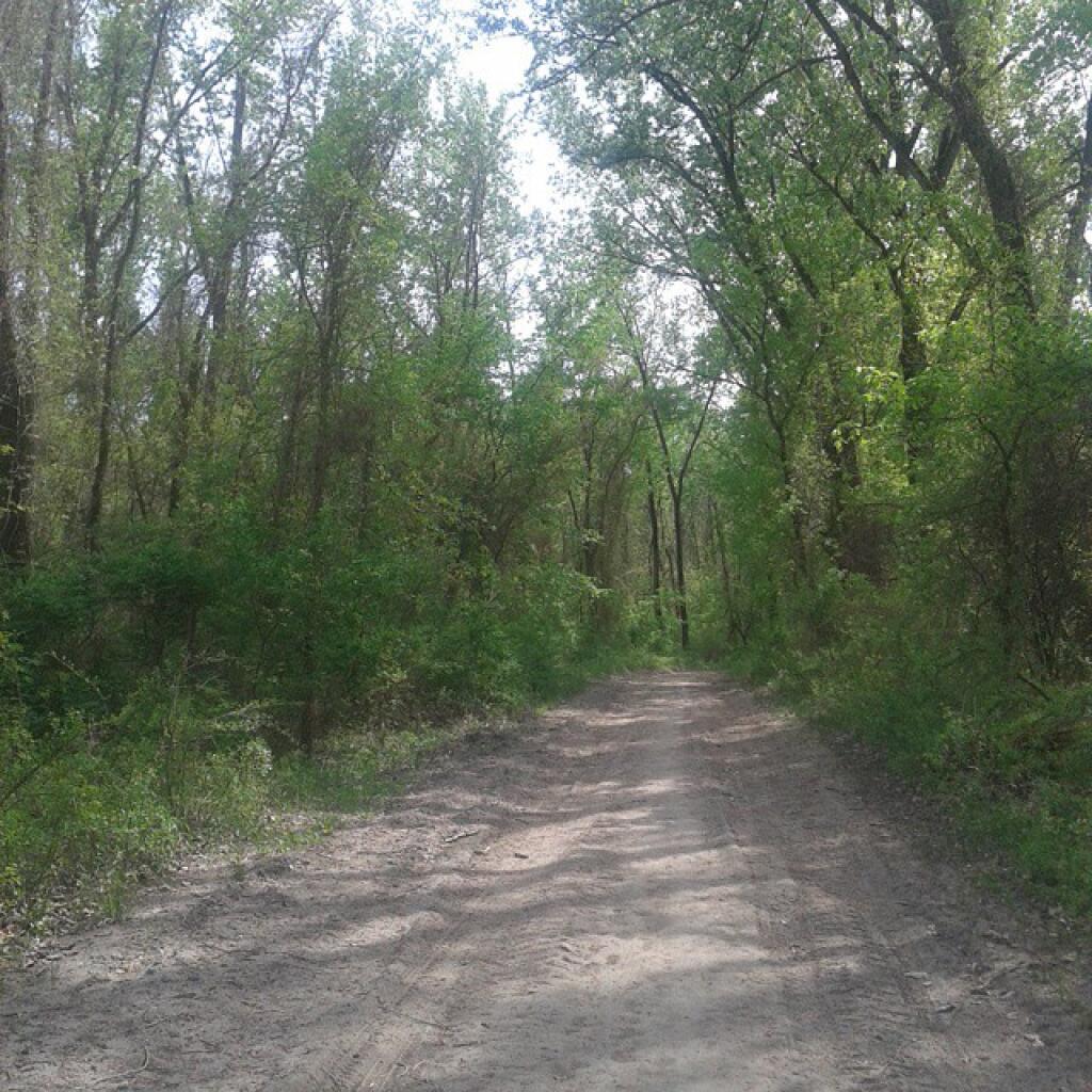 Photo: So green here