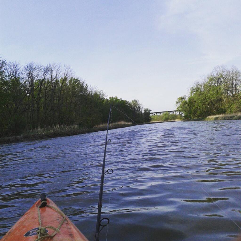 Photo: Fishing, sorta