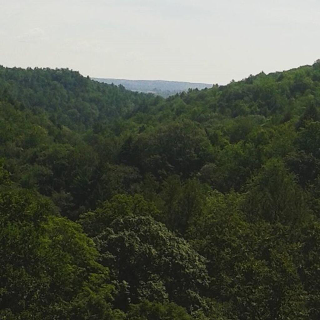 Photo: Gorge