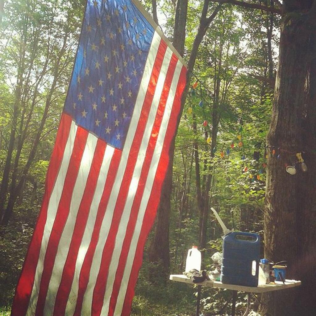 Photo: Nice morning in the woods Photo: Nice morning in the woods