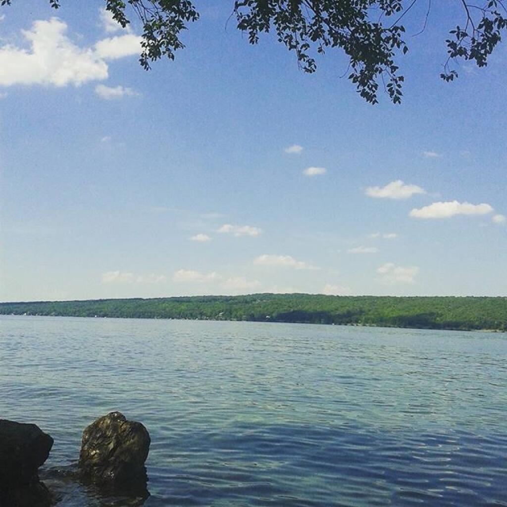 Photo: Cayuga Lake Today Photo: Cayuga Lake Today