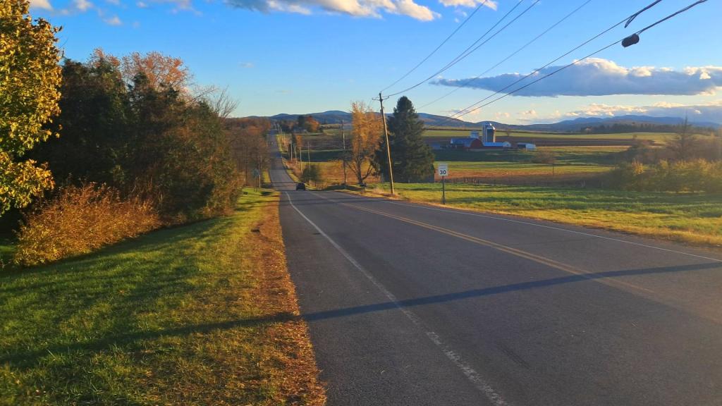 Photo: Jarvis Road Photo: Jarvis Road
